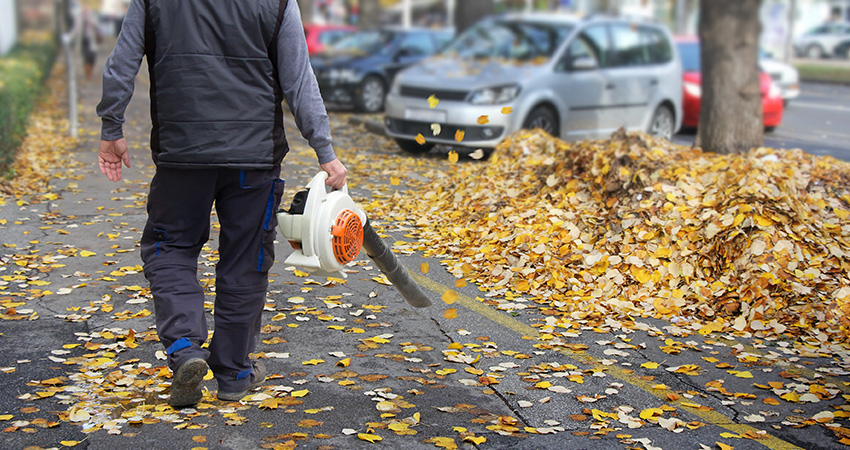 leaf-clean-up
