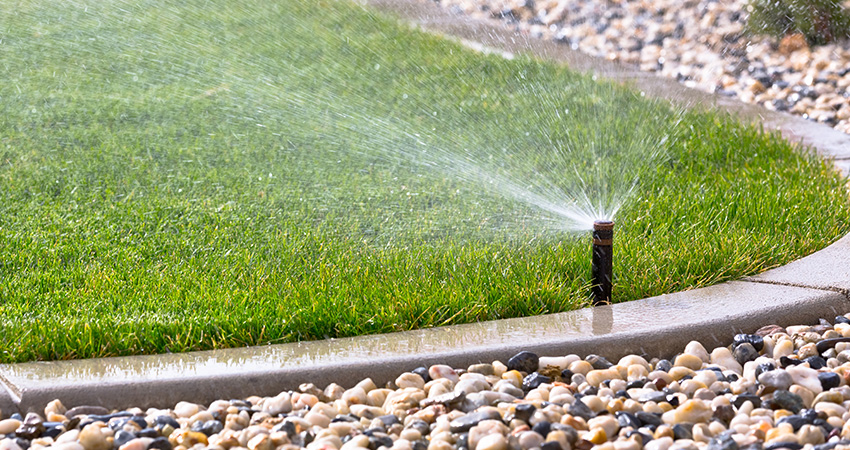 irrigation